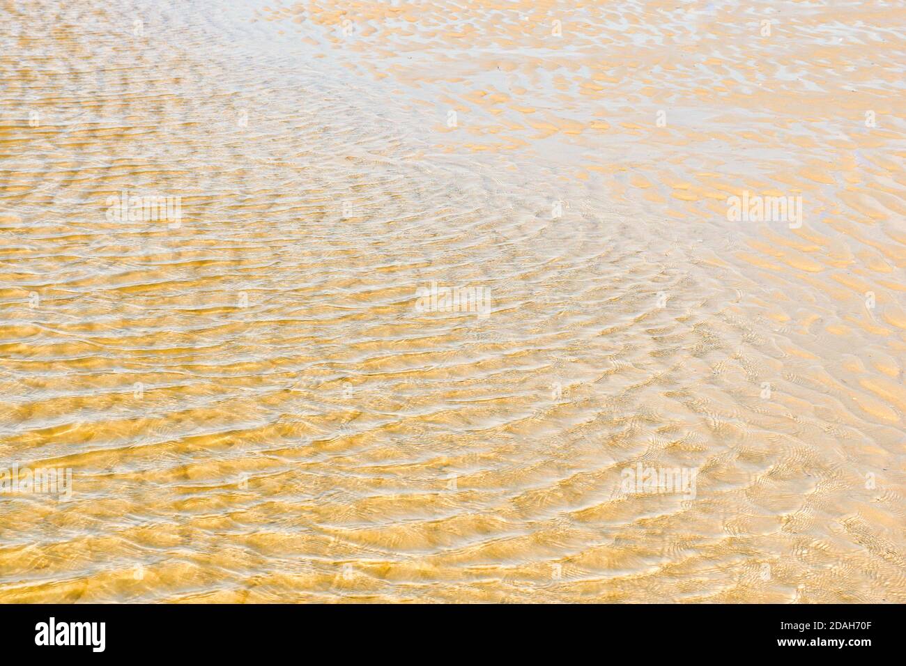 Geriffeltes flaches Wasser mit goldenem Sand. Stockfoto