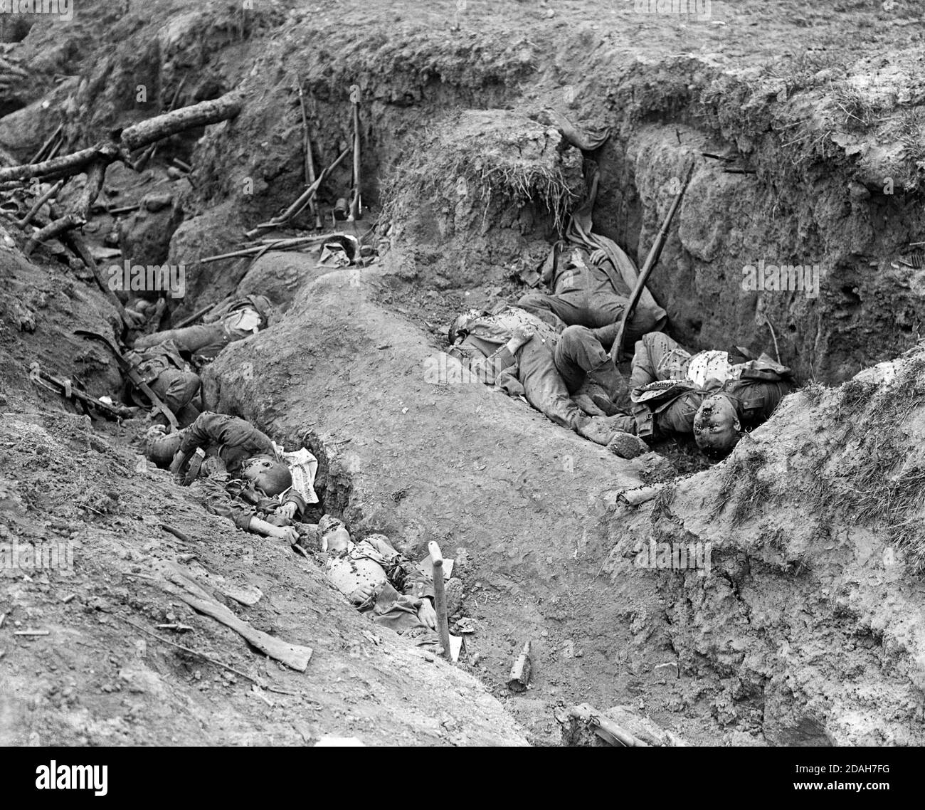 Die Schlacht an der Somme, Juli-November 1916. Fliegen und Maden auf tote deutsche Soldaten in einem gefangenen deutschen Graben. In Der Nähe Von Ginchy. August 1916 Stockfoto