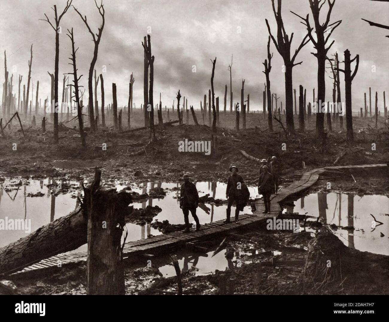 Soldaten einer australischen Artilleriebrigade der 4. Division auf einer Duckboard-Strecke, die durch Chateau Wood in der Nähe von Hooge im Ypern-Salient führt, 29. Oktober 1917. Der führende Soldat ist Gunner James Fulton und der zweite Soldat ist Leutnant Anthony Devine. Die Männer gehören zu einer Batterie der 10. Artilleriebrigade. Stockfoto