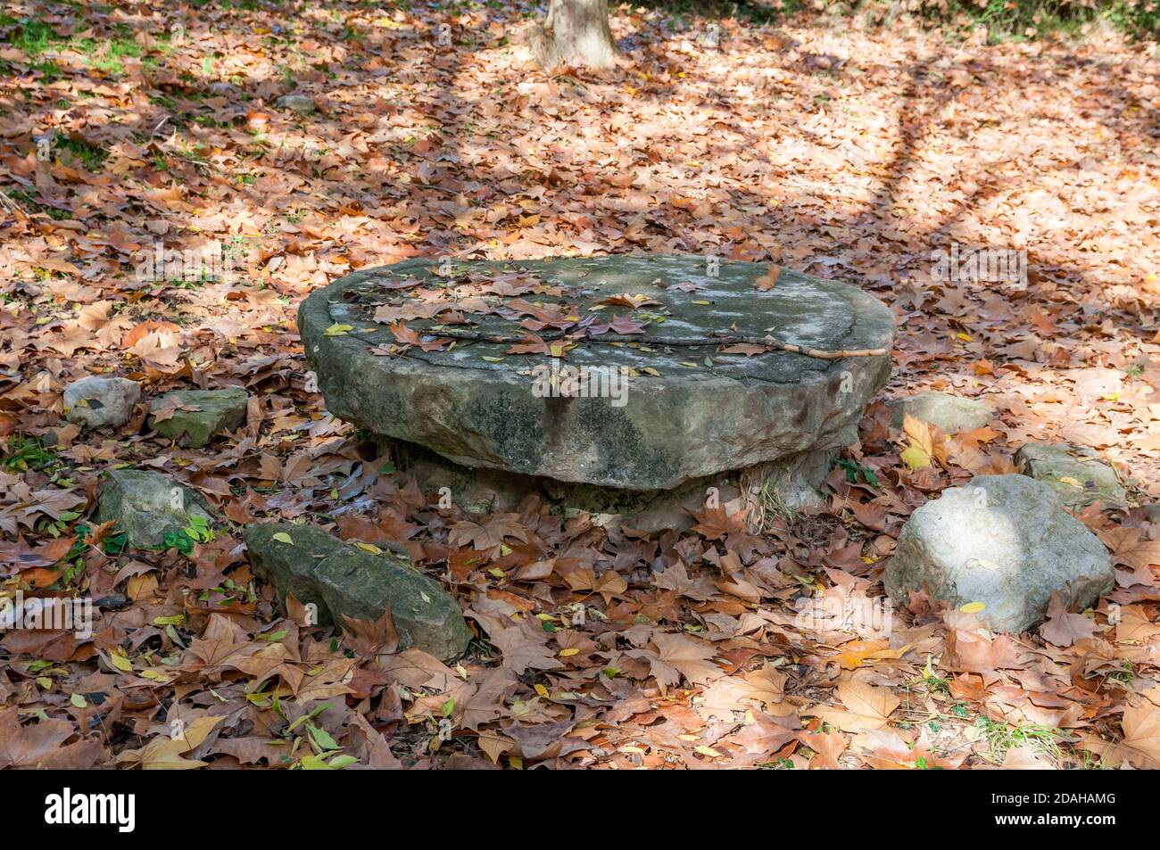 Stein Picknick-Tisch mit Herbstblättern bedeckt Stockfoto