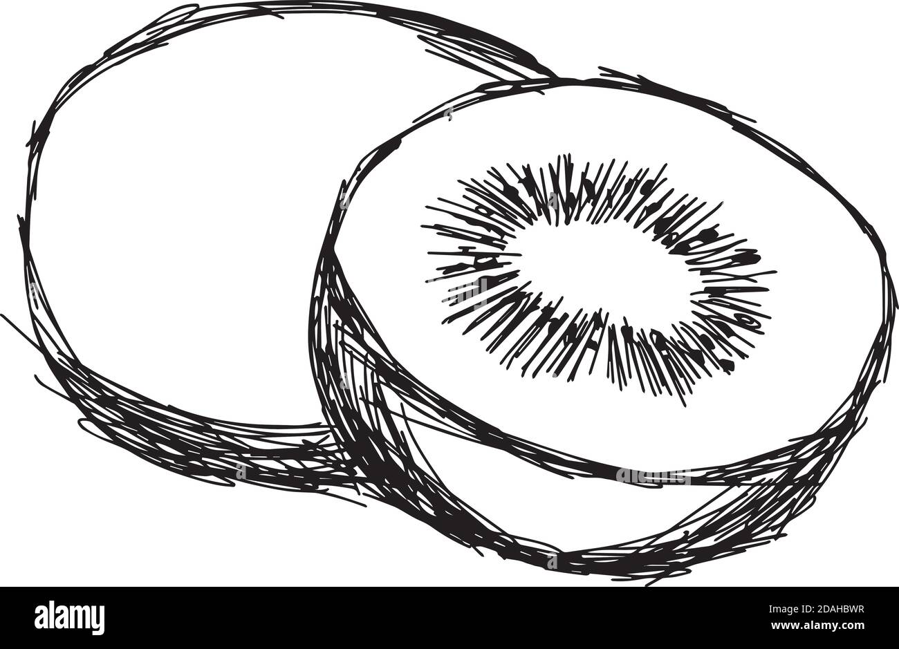 Illustration Vektor Doodle Hand gezeichnet von Skizze Kiwi isoliert Stock Vektor