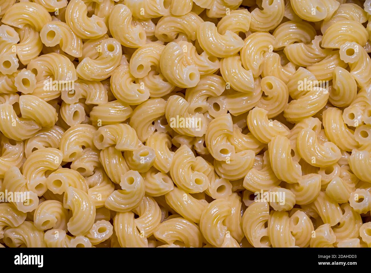 Blick von oben auf italienische gekochte Chifferi Pasta. Stockfoto