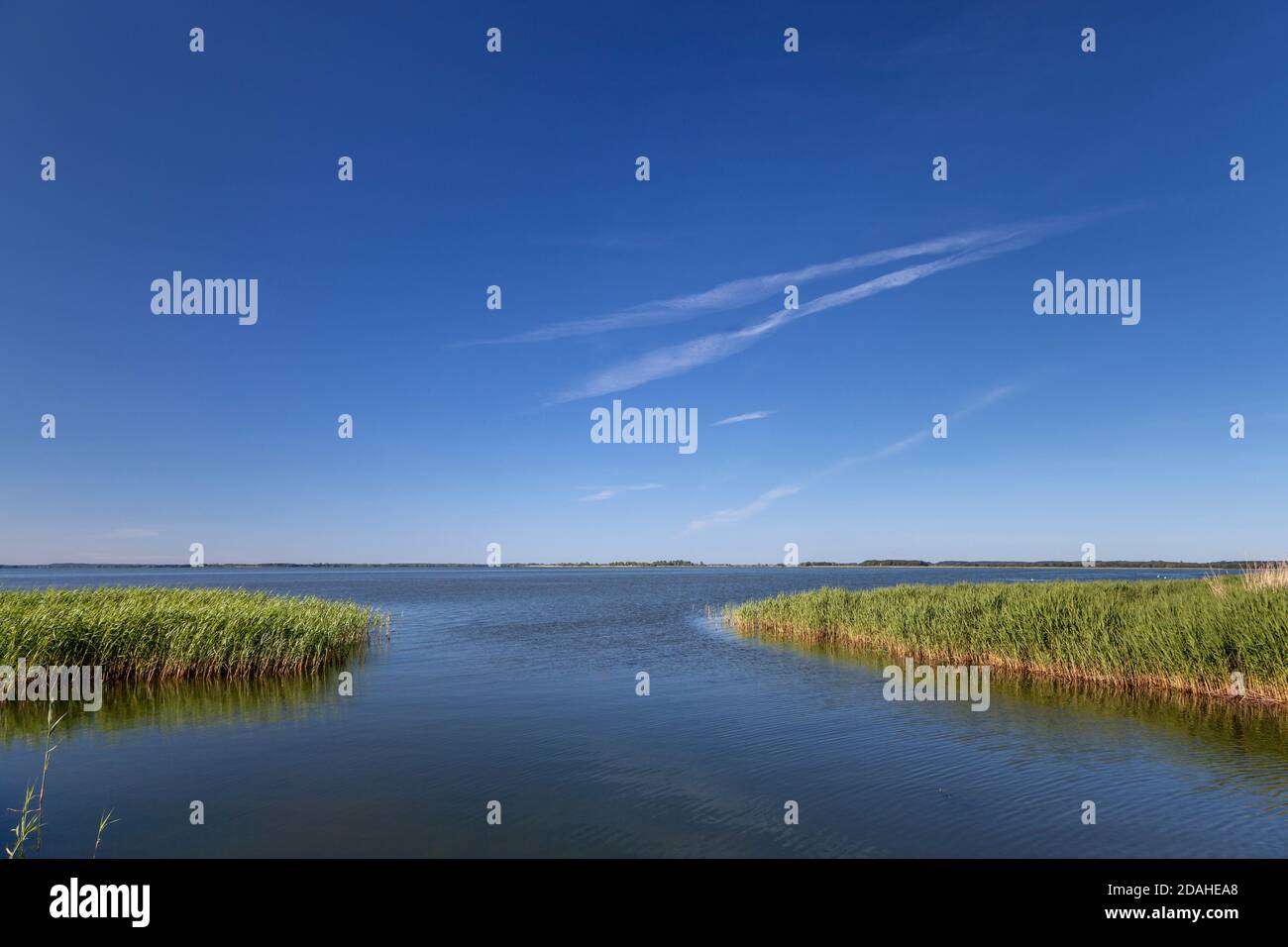 Geographie / Reisen, Deutschland, Mecklenburg-Vorpommern, Zempin, Stettin Lagune, Insel Usedom, Ostsee , Additional-Rights-Clearance-Info-not-available Stockfoto