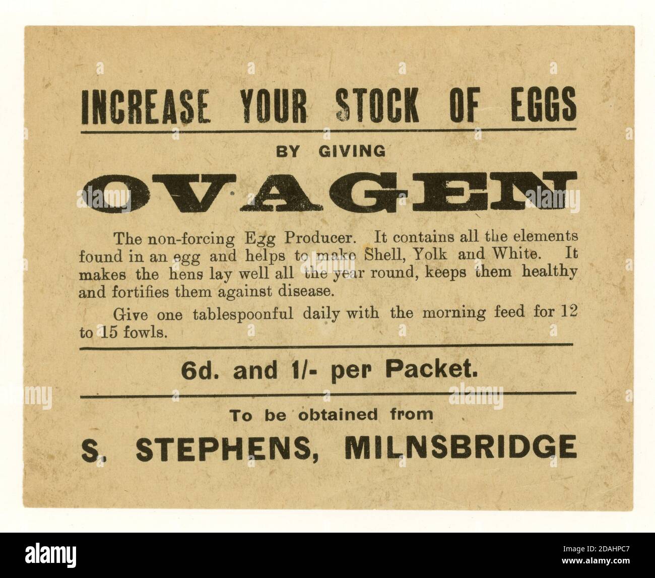 Ovagen-Eierproduktions-Flugblatt Anfang des 20. Jahrhunderts, Milnsbridge, Huddersfield, W. Yorkshire, U.K. circa 1920er Jahre Stockfoto