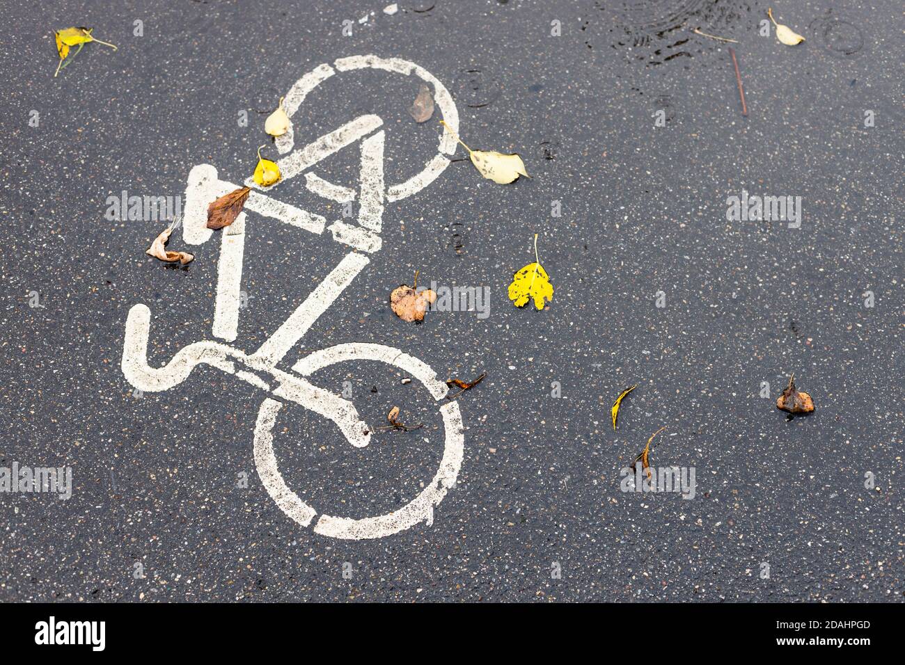 Nasse Oberfläche der Fahrradstraße in der Stadt im Herbstregen Stockfoto