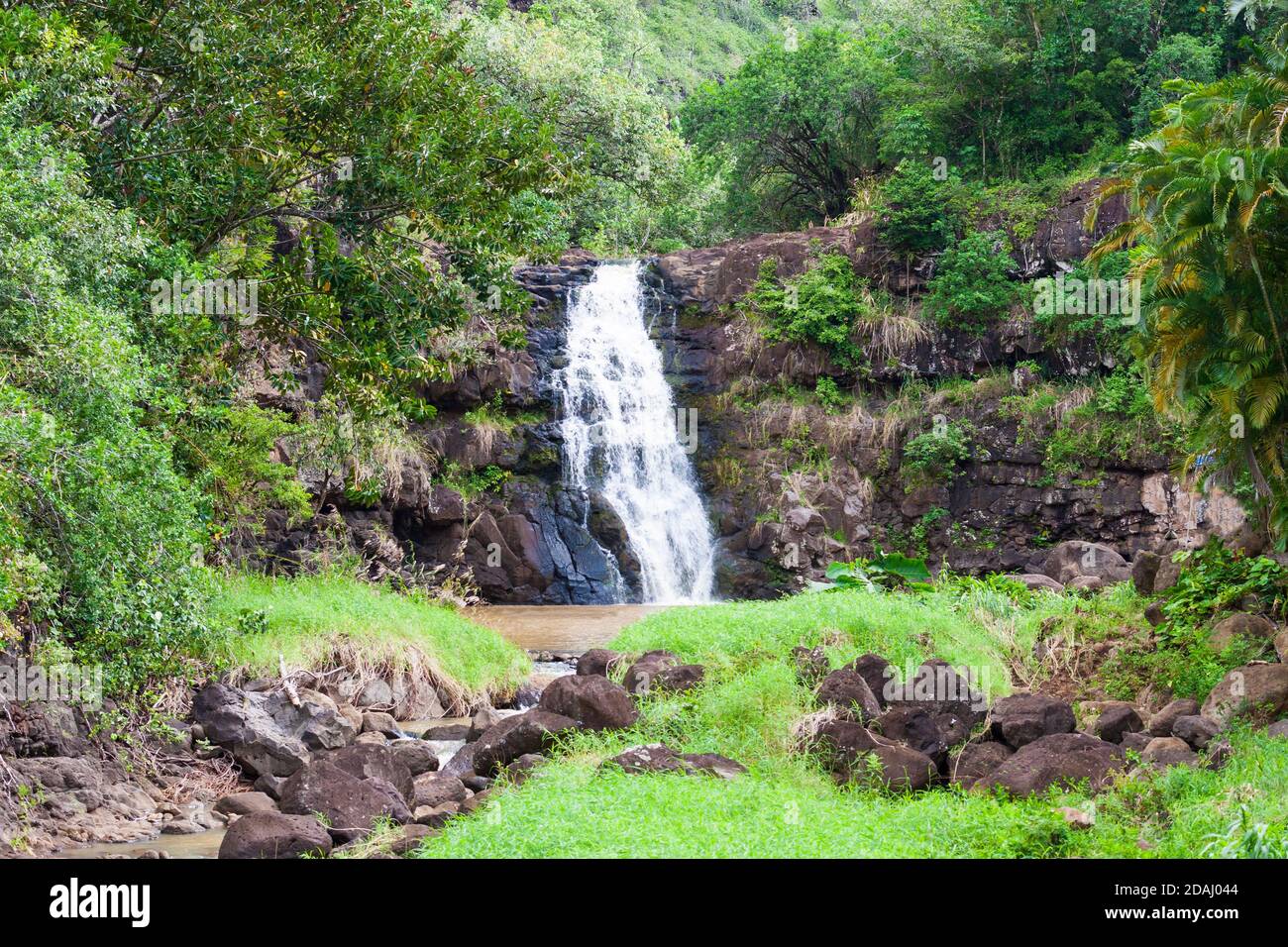 Waimea Falls, Nord Oahu, Hawaii. Erhebliche Stürze nur während der Regenzeit. Stockfoto