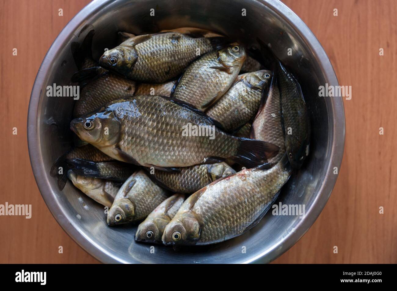 Frisch gewaschene, brillante kleine Seefischbrühe liegt auf einem Holztisch in einer Metallplatte. Stockfoto