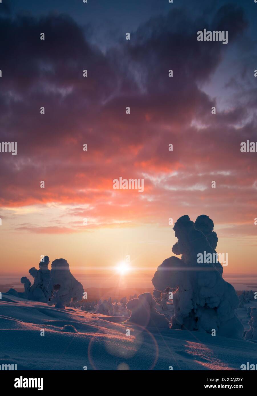 Schöne Winterlandschaft gegen die aufgehende Sonne Stockfoto
