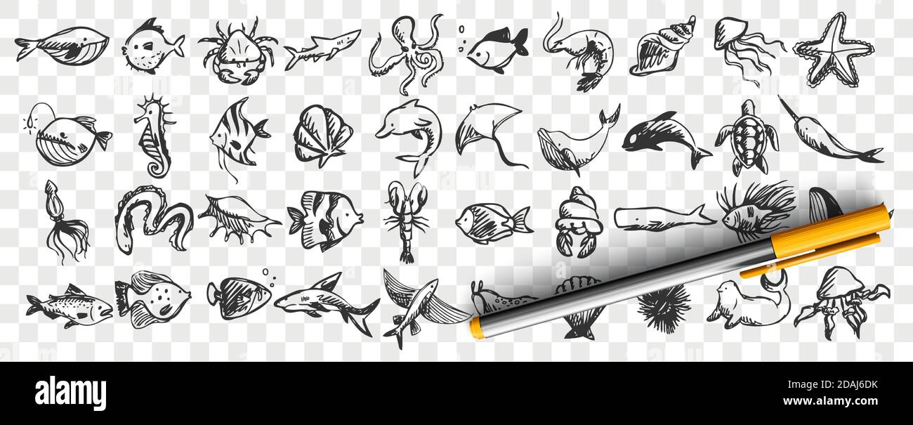 Marine Life Doodle Set Stock Vektor