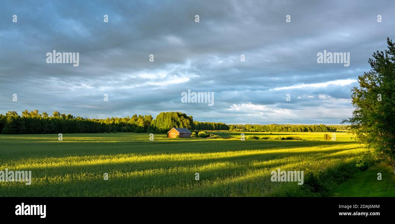 Landschaft im Sommer, Südwestfinnland Stockfoto