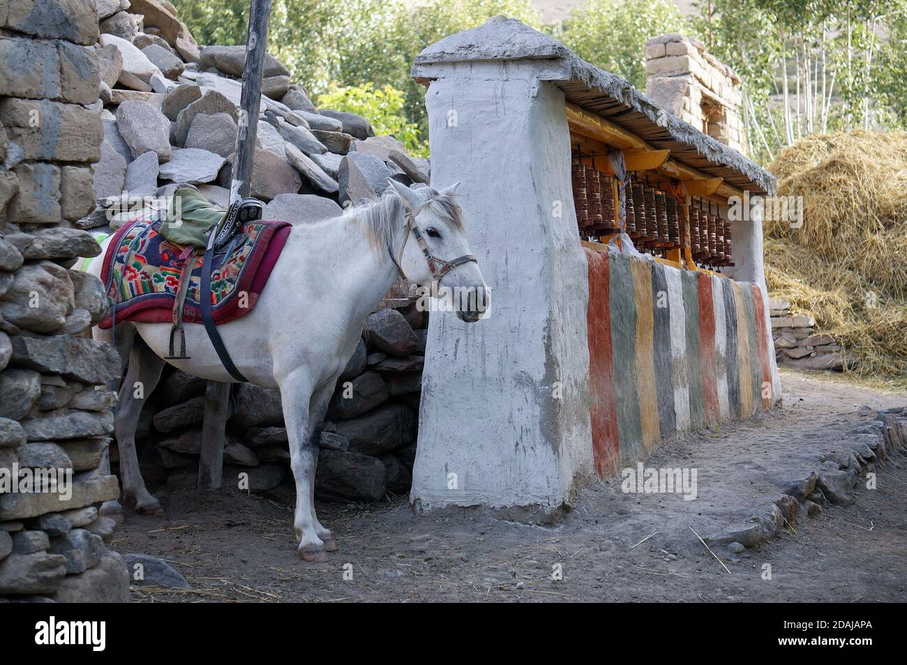 Ein gespanntes Reitpferd steht in der Nähe der heiligen rituellen Trommeln, in der Nähe der Steine. Oberer Mustang. Nepal. Stockfoto