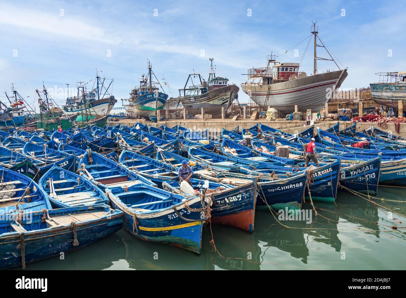 Der Hafen von Essaouira ist nicht nur die Heimat vieler Fischerboote und Schiffe, es ist eine beliebte Touristenattraktion marokko Stockfoto