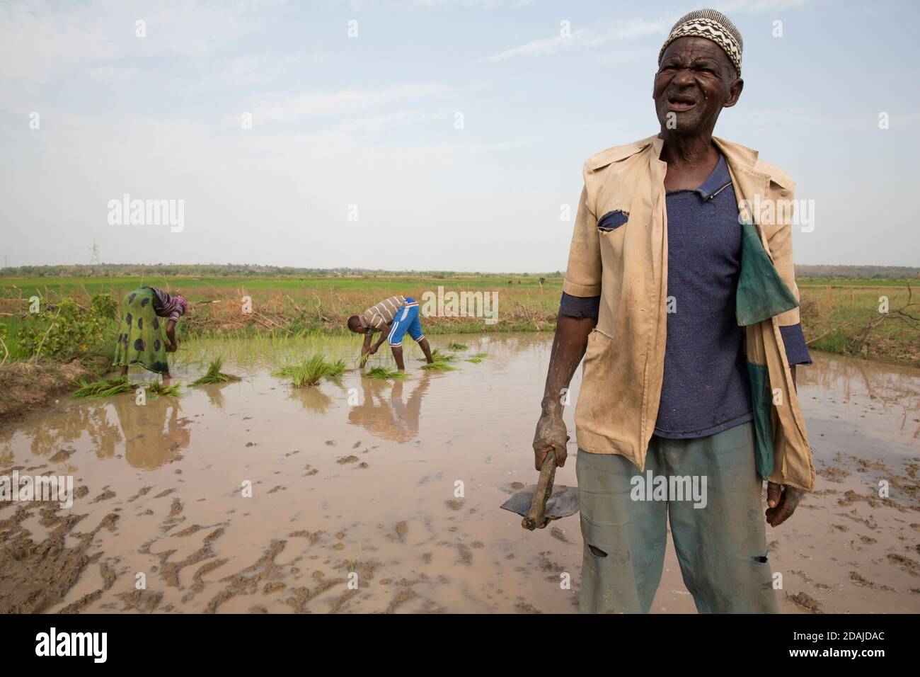 Selingue, Mali, 26th. April 2015; Diola Coulibaly, 79, Pensionierter Armeemann, der auf seinem Grundstück von 0,04 Hektar arbeitet. Das Land war ein Gartengrundstück, aber er hat es geändert, um Reis anzubauen. Er hat auch einen Hektar Reis in einem anderen Teil von Selingue. Sein Sohn, Moussa Coulibaly, 19, und seine Frau Mamou Coulibaly, 18, arbeiten mit ihm zusammen. Diola hat eine Armeepension und seine Söhne erledigen die meiste Arbeit. Die Familie teilt alle Produkte der Landwirtschaft zwischen ihnen. Moussa arbeitet Vollzeit auf dem Land. Diola hat zwei Frauen und 8 Kinder. Stockfoto