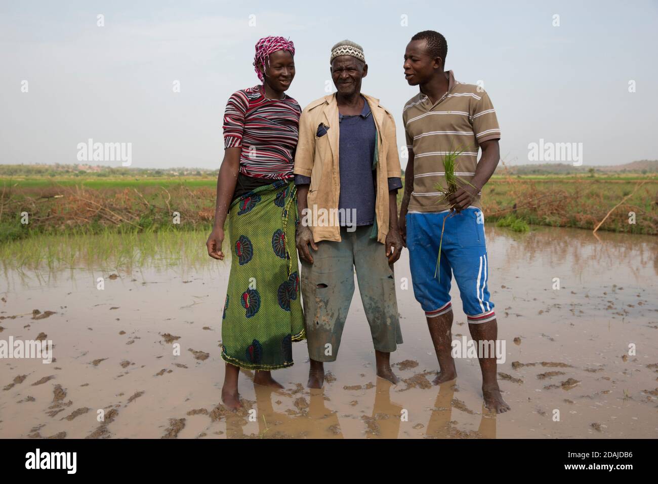 Selingue, Mali, 26th. April 2015; Diola Coulibaly, 79, Pensionierter Armeemann, der auf seinem Grundstück von 0,04 Hektar arbeitet. Das Land war ein Gartengrundstück, aber er hat es geändert, um Reis anzubauen. Er hat auch einen Hektar Reis in einem anderen Teil von Selingue. Sein Sohn, Moussa Coulibaly, 19, und seine Frau Mamou Coulibaly, 18, arbeiten mit ihm zusammen. Diola hat eine Armeepension und seine Söhne erledigen die meiste Arbeit. Die Familie teilt alle Produkte der Landwirtschaft zwischen ihnen. Moussa arbeitet Vollzeit auf dem Land. Diola hat zwei Frauen und 8 Kinder. Stockfoto