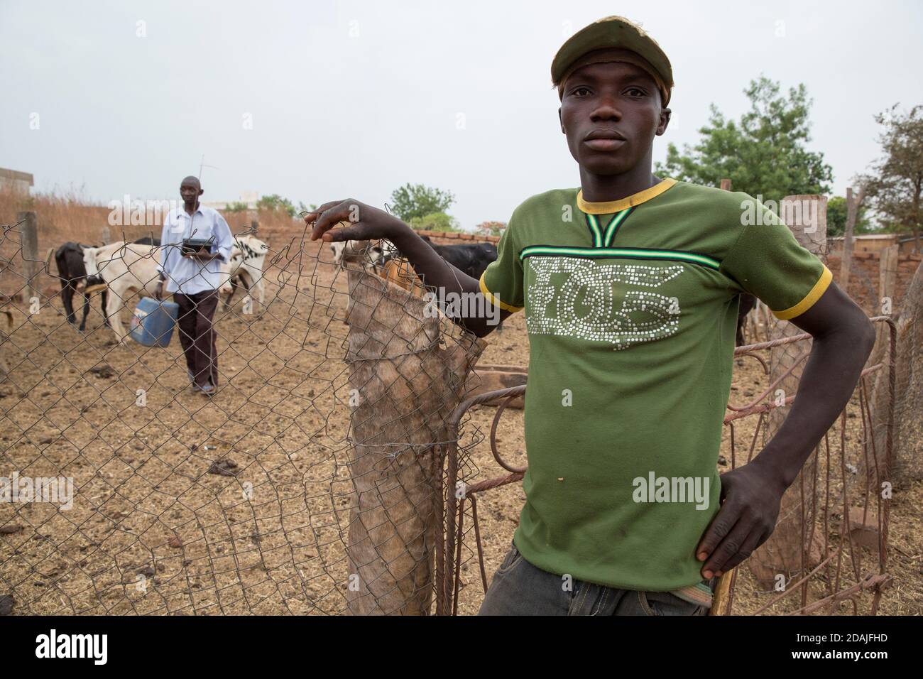 Selingue, Mali, 26. April 2015; Modibou Diallo, 42, Mit seinem Vieh. Modibou ist Agronom im öffentlichen Dienst und arbeitet für ODRS (das Büro für ländliche Entwicklung von Selingue). Sein Mitarbeiter Benogo Diarra, 25, kommt aus Segou und arbeitet daran, genug zu verdienen, um seinen Lebensunterhalt an den Minenstandorten zu decken, wo er als Bergmann arbeitet. Stockfoto