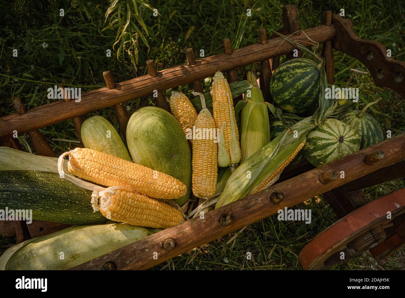 Frisches Gemüse, Mais, Wassermelone, Gemüsemark in Holzwagen auf grünem Naturhintergrund. Draufsicht. Nahaufnahme. Erntekonzept Stockfoto