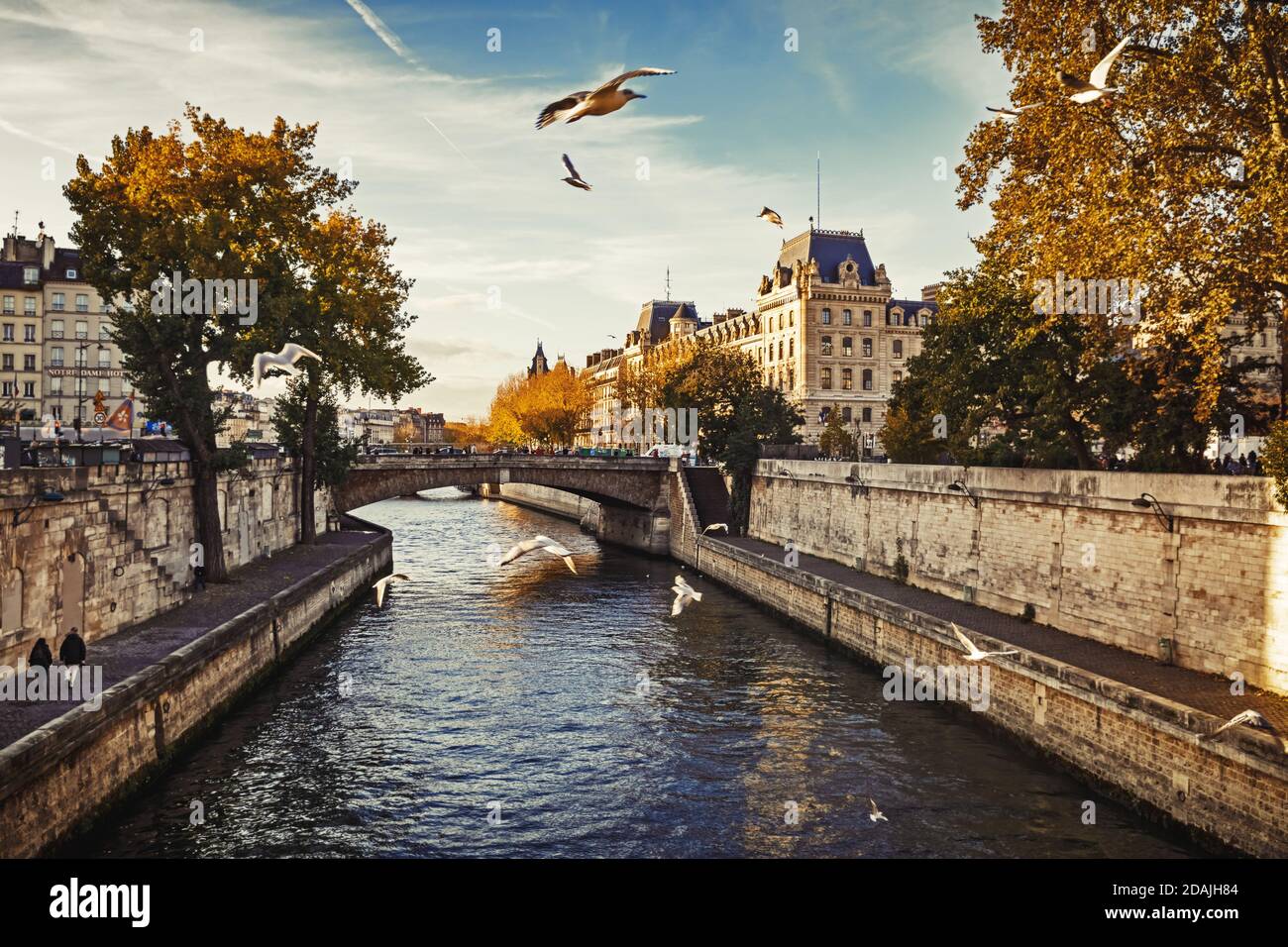 PARIS, FRANKREICH - 10. Nov 2017: Vögel fliegen über die seine in Paris. Blick von der Brücke Pont au Double Stockfoto