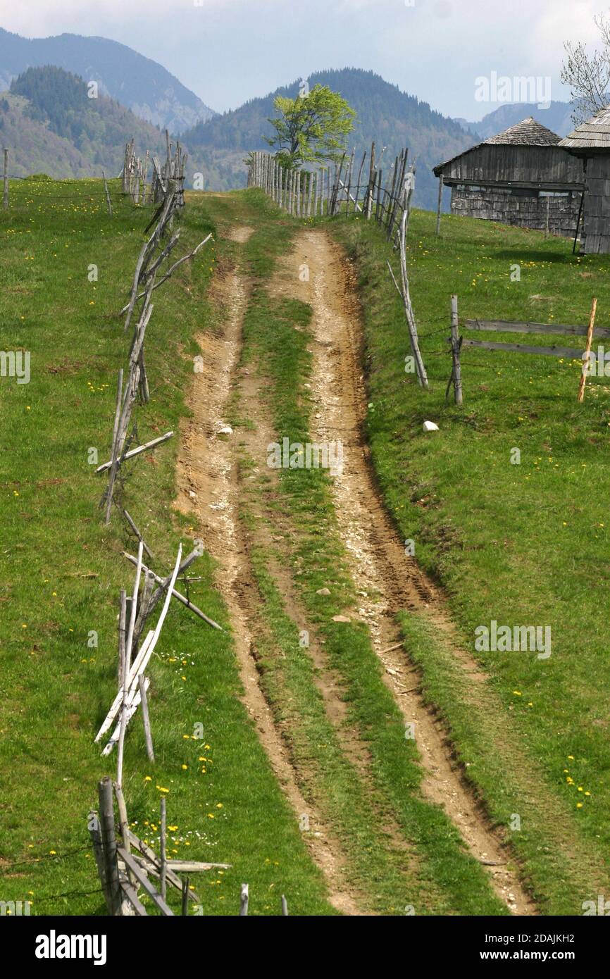 Sirnea, Kreis Brasov, Rumänien. Unbefestigter Dorfweg den Berg hinauf. Stockfoto