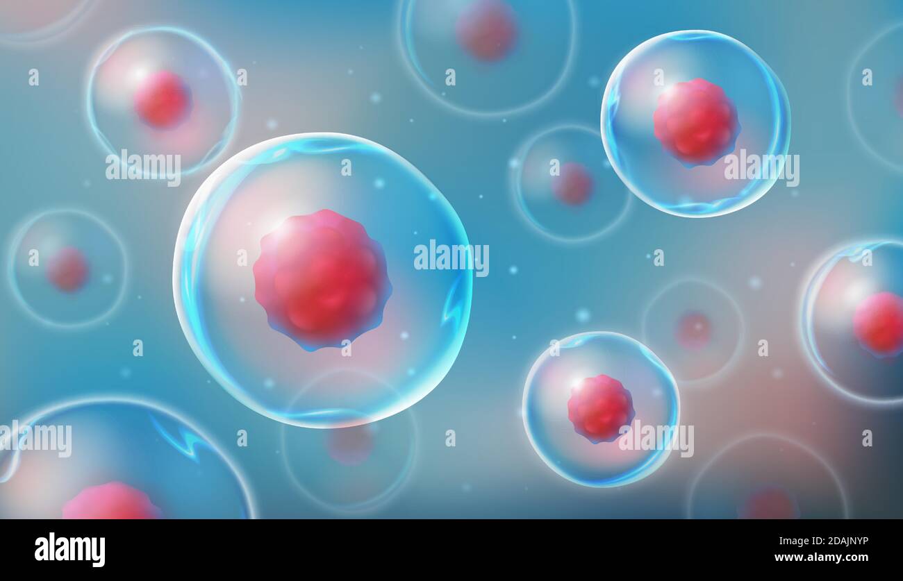 Zellen unter dem Mikroskop. Forschung an Stammzellen. Zelltherapie. Zellteilung. Vektorgrafik auf hellem Hintergrund Stock Vektor