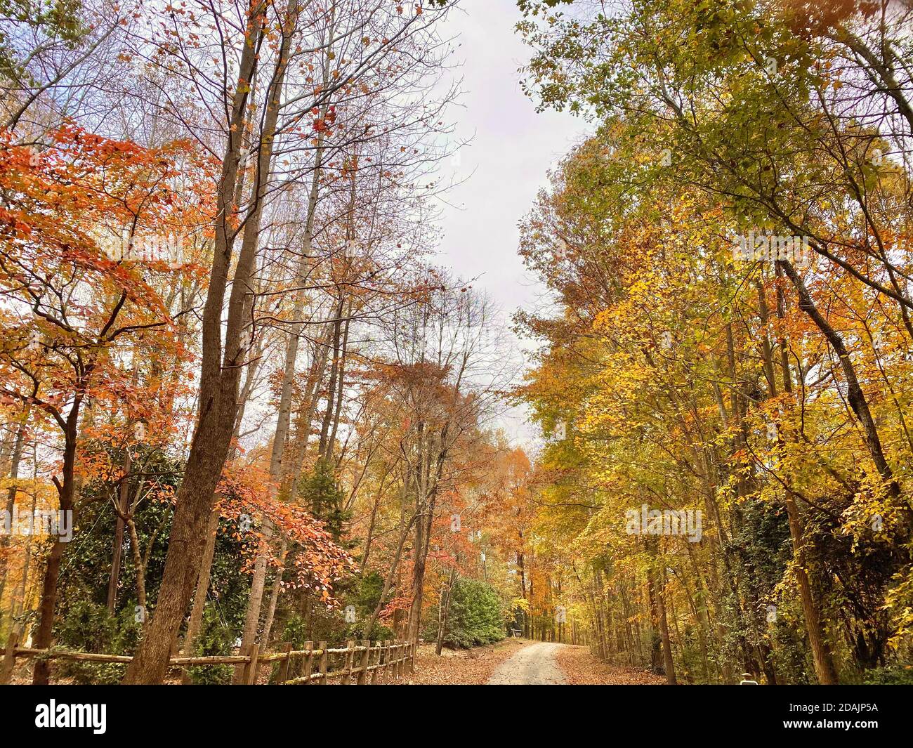 Herbst Stockfoto