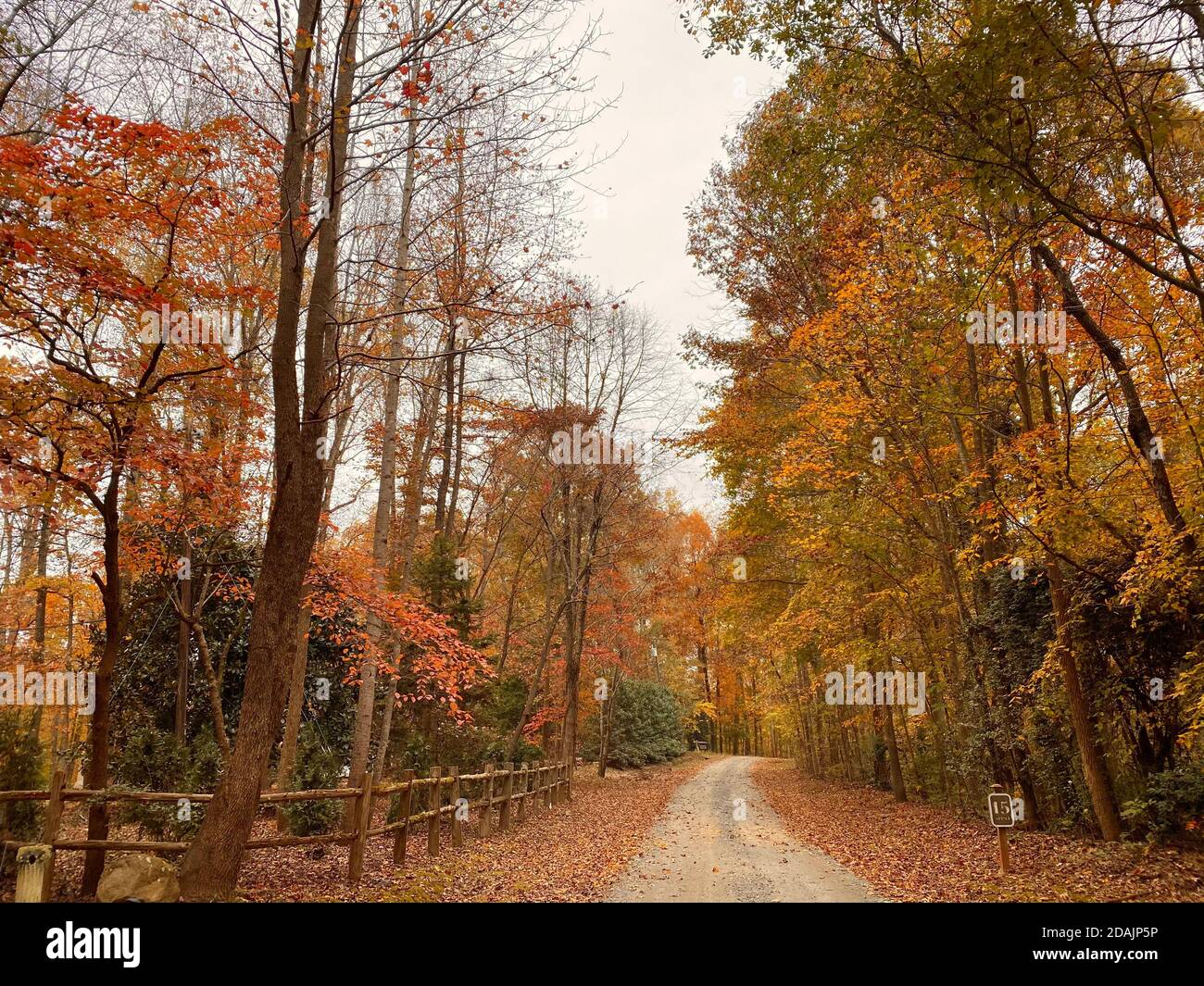 Herbst Stockfoto