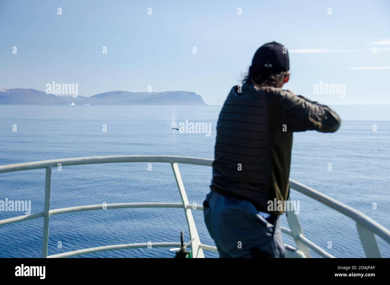 Jagd auf kleine Wale Stockfoto