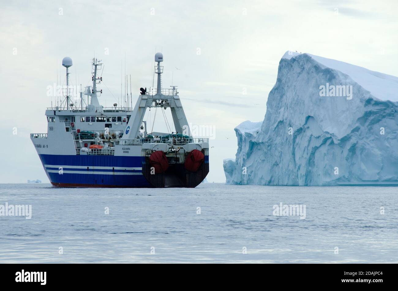 Großes arktisches Forschungsgefäß Stockfoto