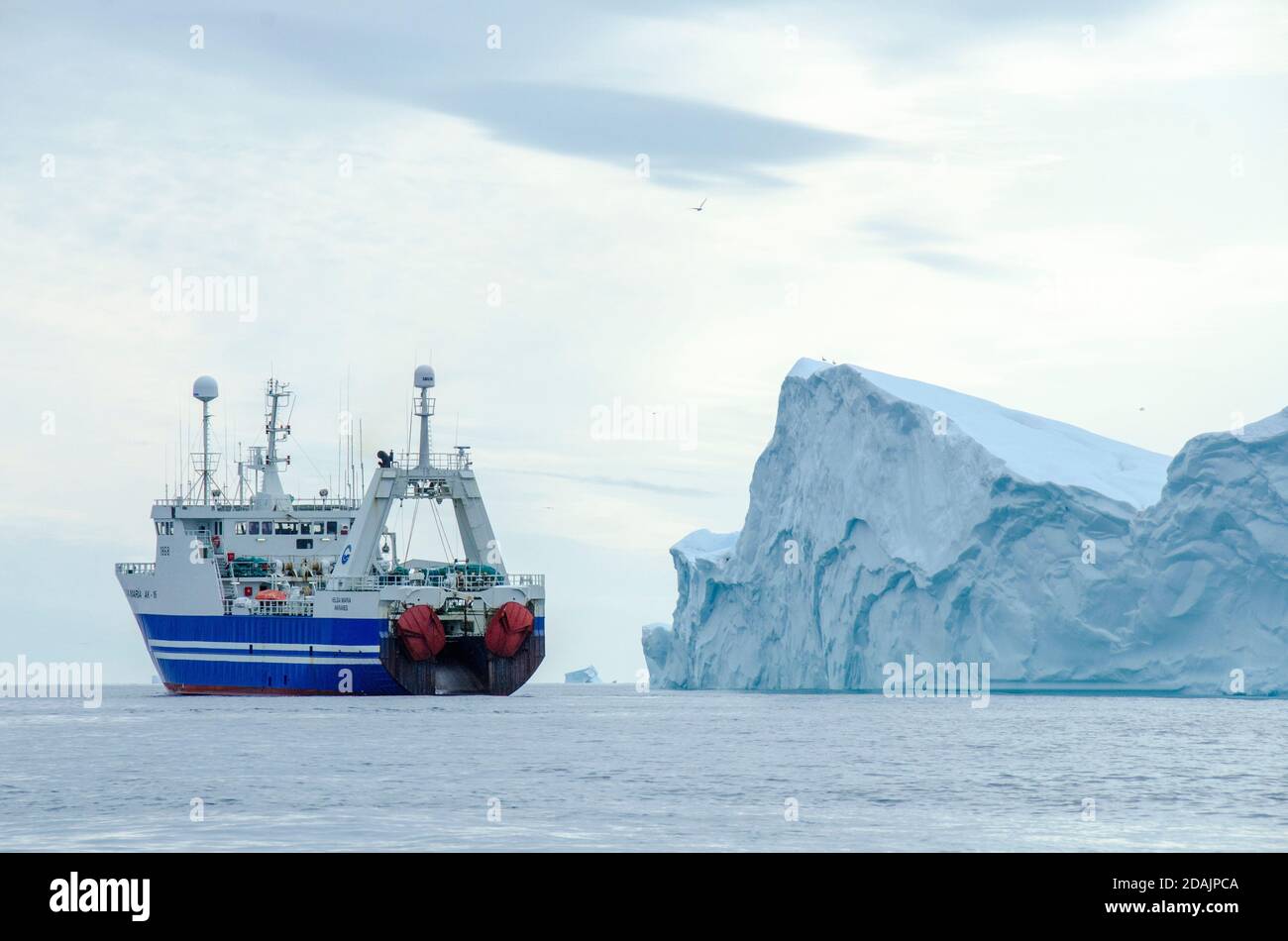 Großes arktisches Forschungsgefäß Stockfoto