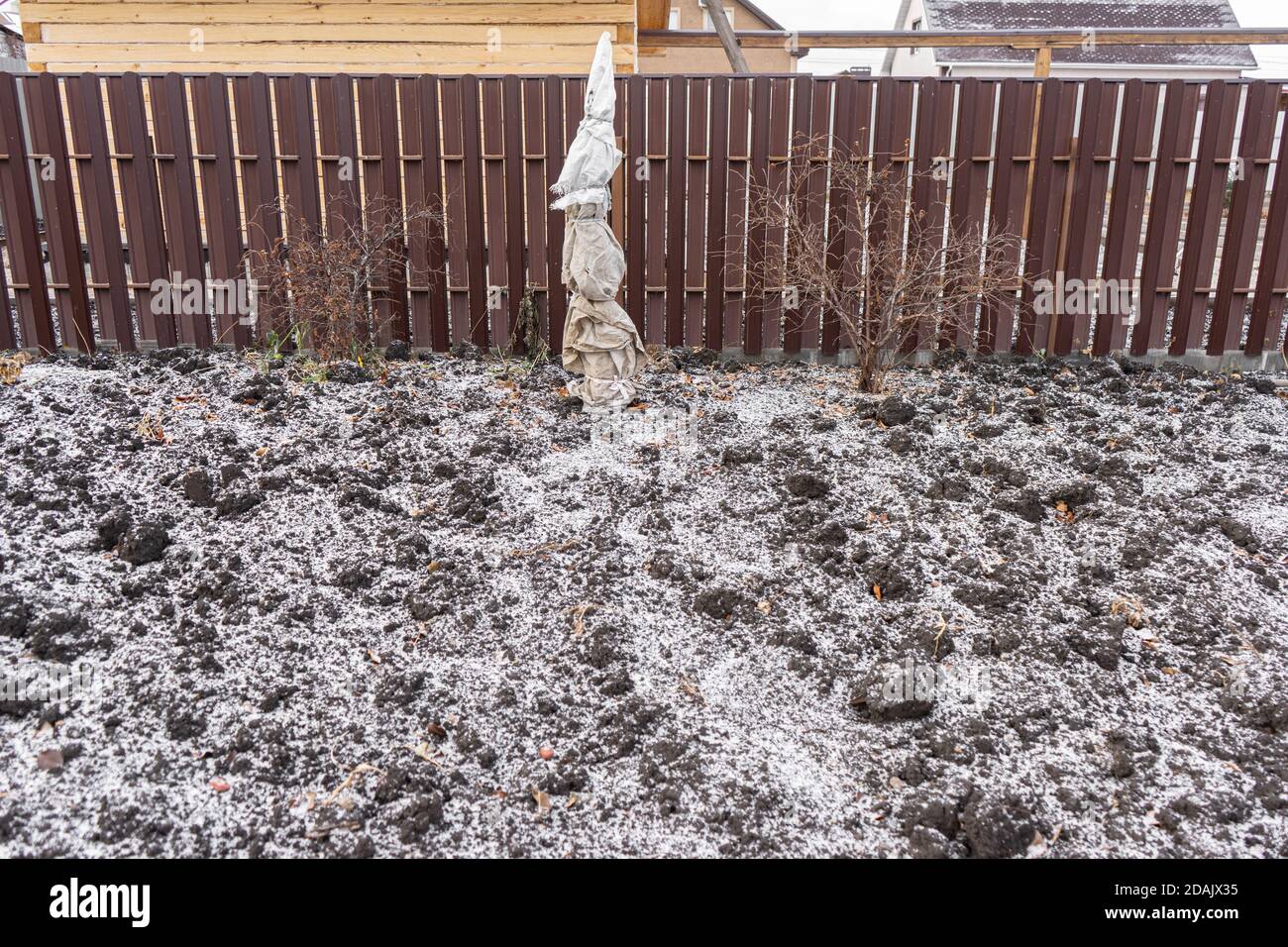 Geschützt für die Winterpflanze im Garten. Schneebedeckter Boden im Winter. Stockfoto