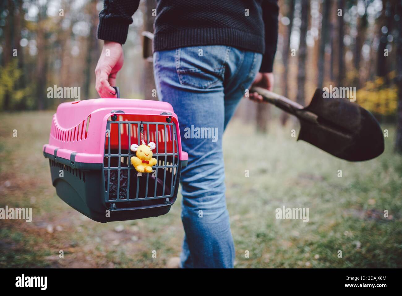 Thema ist der Tod des Haustieres. Rückansicht des Mannes, der entlang Waldweg geht und Schaufel in einer Hand zum Graben Grab trägt, und in anderen Transportbox mit Stockfoto