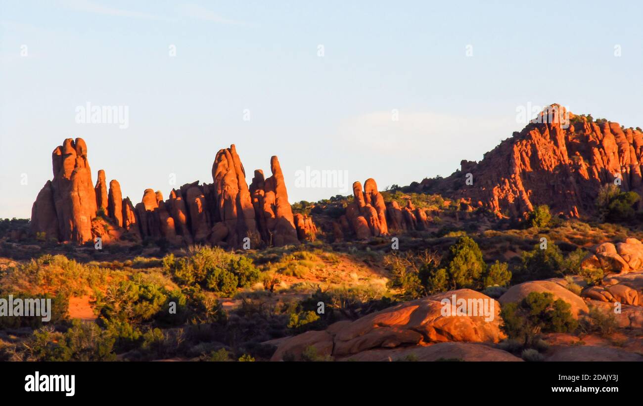 Sandsteinflossen, die so verwittert sind, dass nur noch Gruppen von Sandsteintürmen übrig sind, in der frühen Morgensonne im Arches National Park, USA Stockfoto