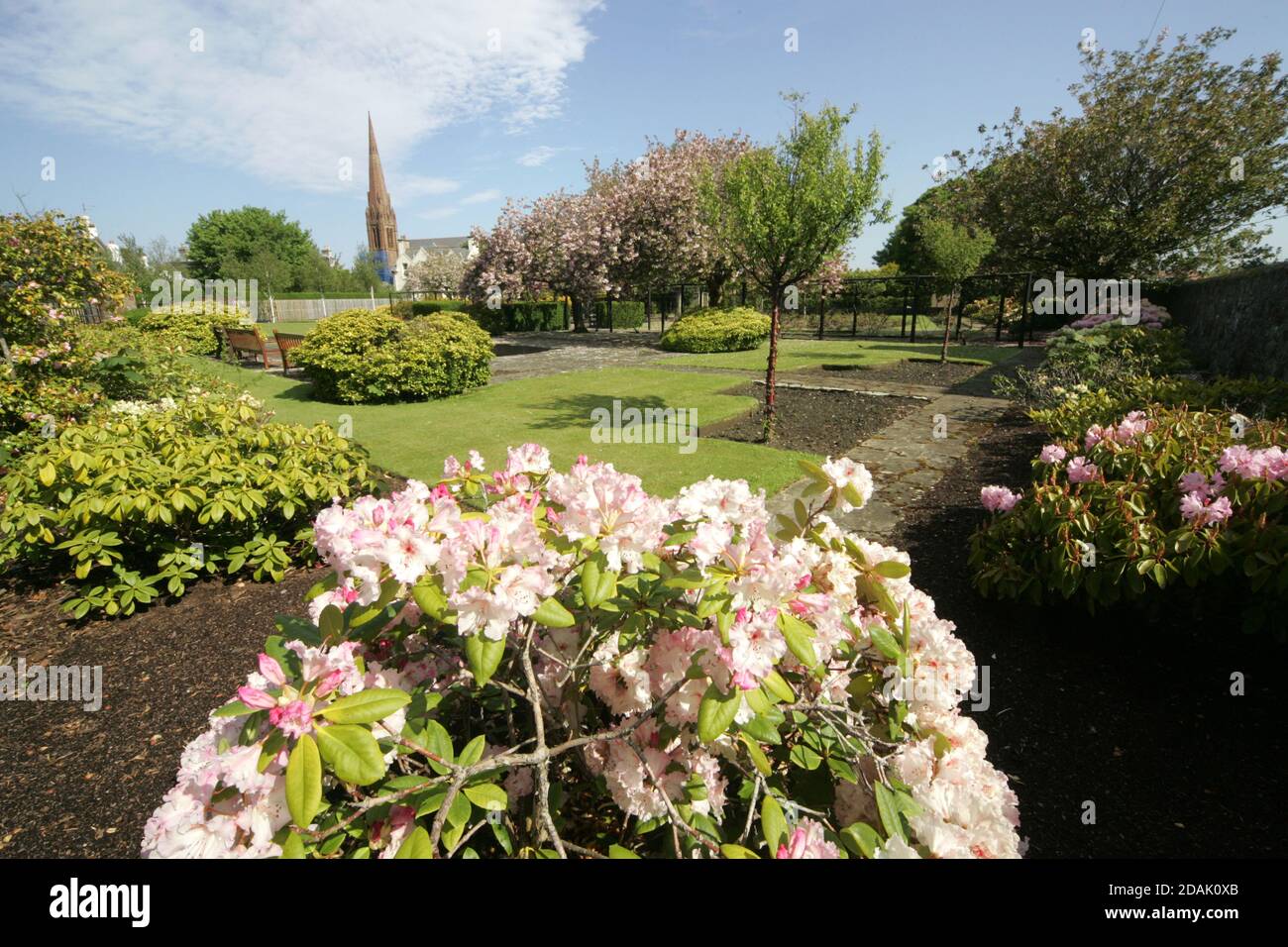 Girvan Orchard Park Spring, Ayrshire, Schottland, Großbritannien . Orchard Gardens sind wunderschöne Gärten mit krautigen Rändern, formellen Teich und formalen Blumenbeeten, die immer voller Farbe sind die umgebende Wand bietet Schutz vor der Küstenbrise, während die Sonne immer einen Weg in! Das macht den Garten zum perfekten Ort zum Ausruhen, Lesen oder einfach nur die Wärme der Sonne genießen. Stockfoto