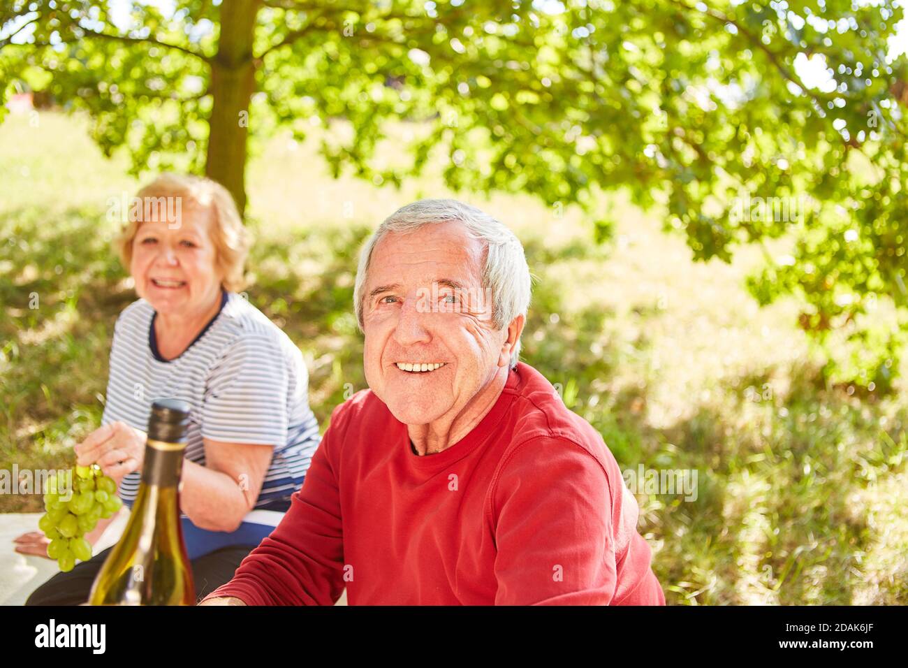 Lächelnder älterer Mann und ältere Frau, die im Sommer zusammen picknicken Im Park Stockfoto