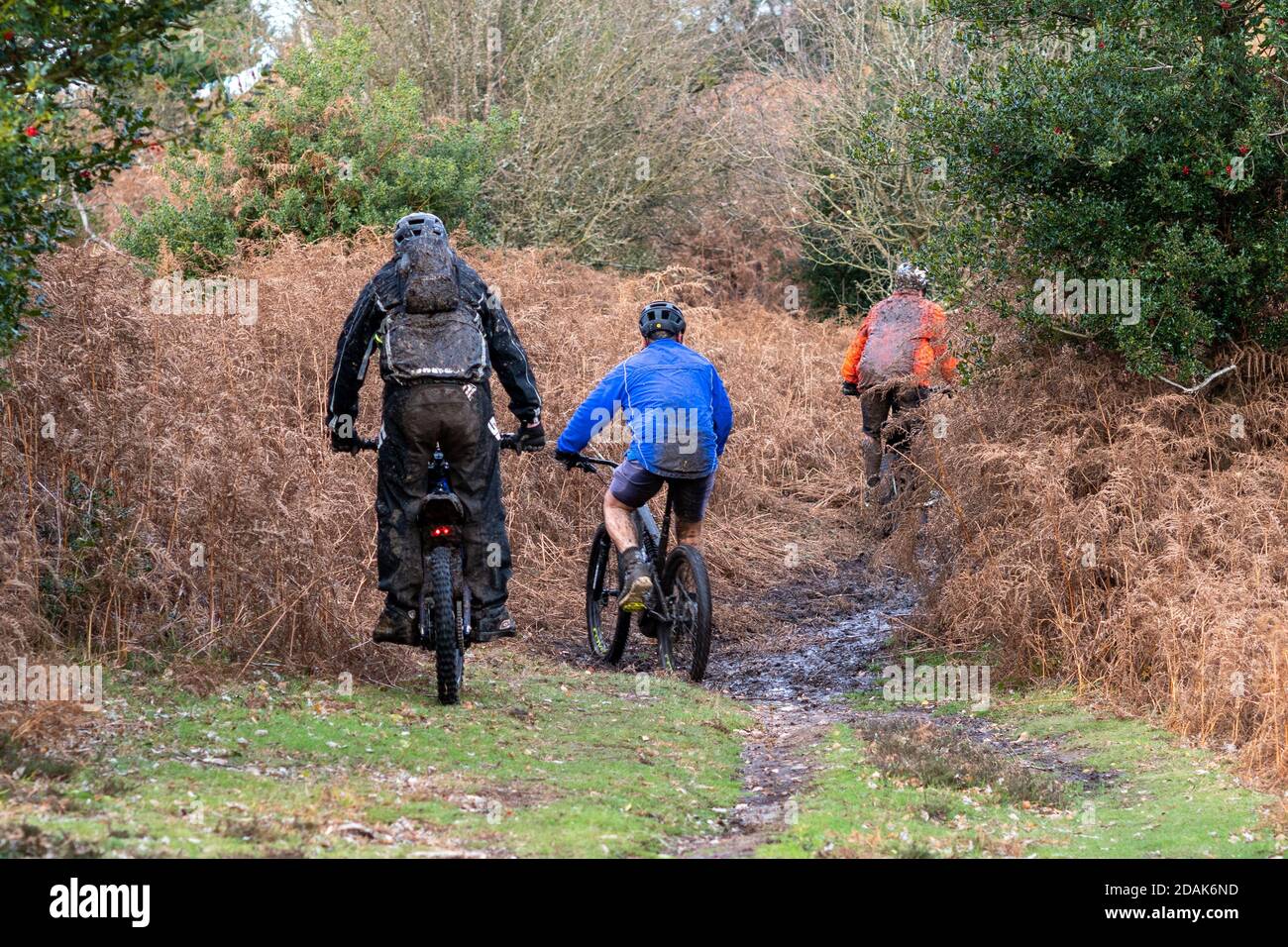 Drei Männer Radfahrer auf Elektrofahrrädern fahren durch schlammige Landschaften, New Forest, Hampshire Countryside, Großbritannien, November Stockfoto