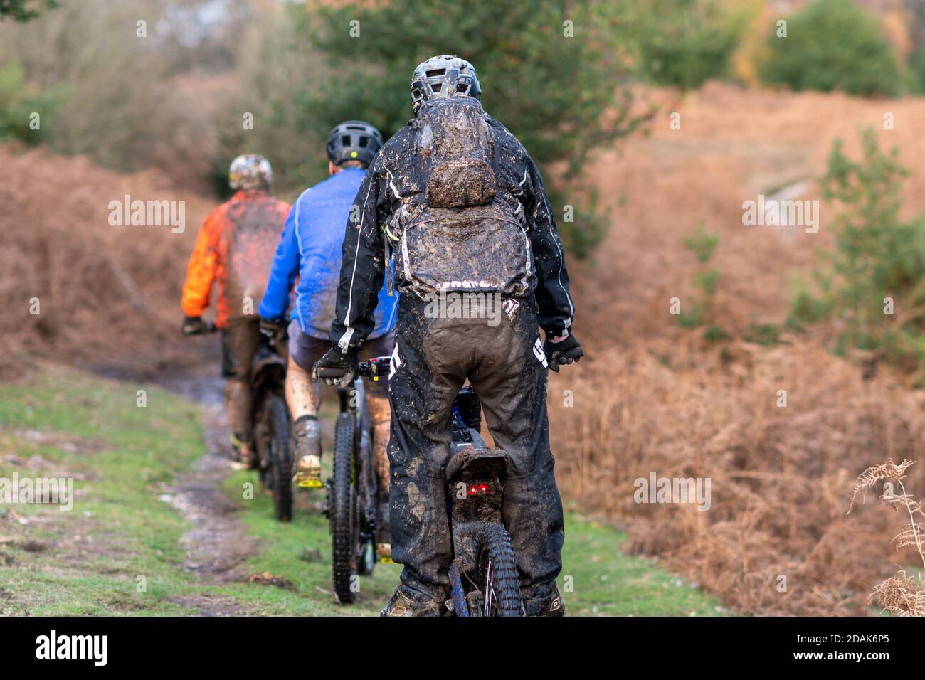 Drei Männer Radfahrer auf Elektrofahrrädern fahren durch schlammige Landschaften, New Forest, Hampshire Countryside, Großbritannien, November Stockfoto