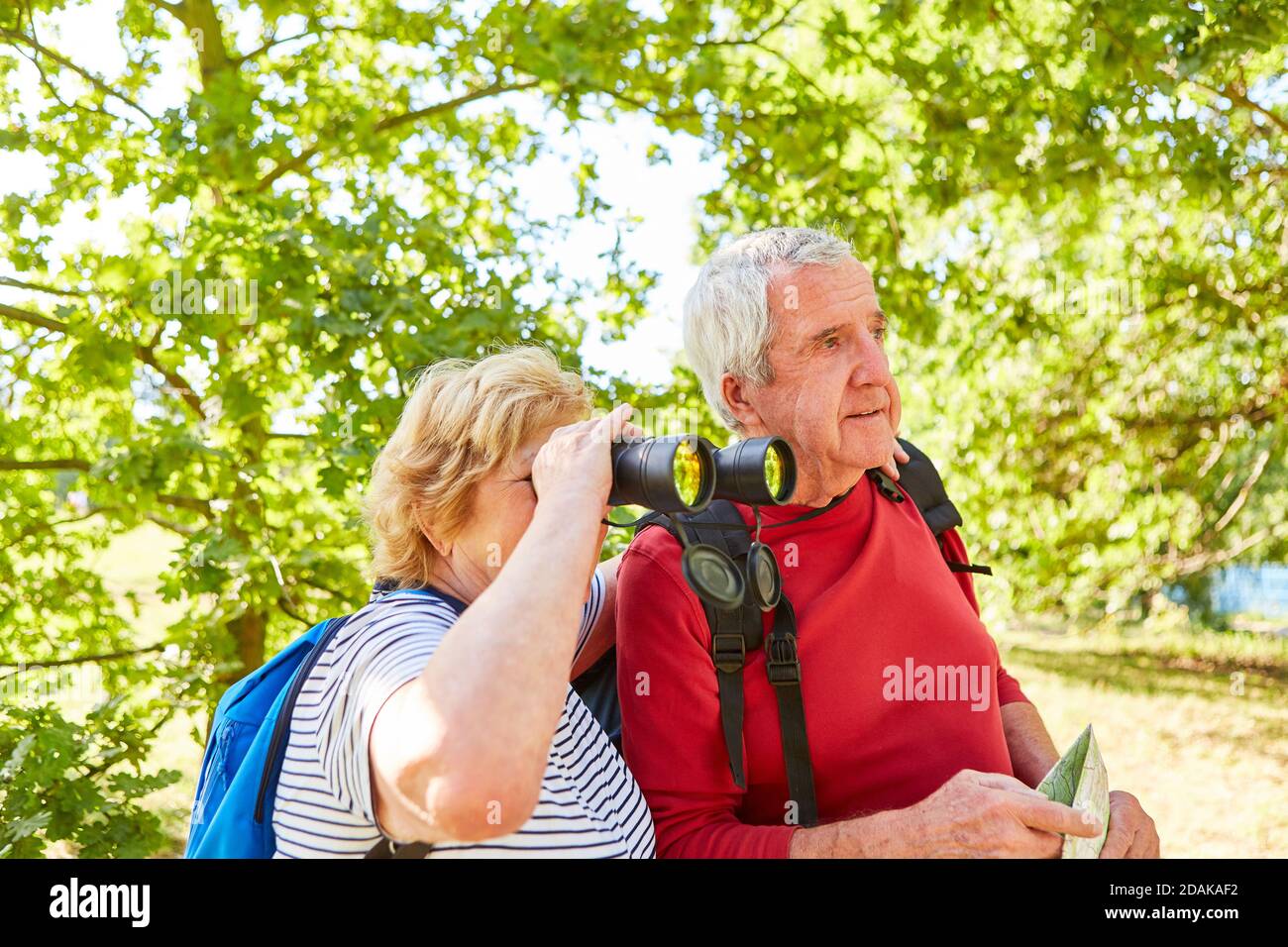 Ältere Paar als Naturliebhaber mit Fernglas oder Fernglas während Tiere beobachten Stockfoto