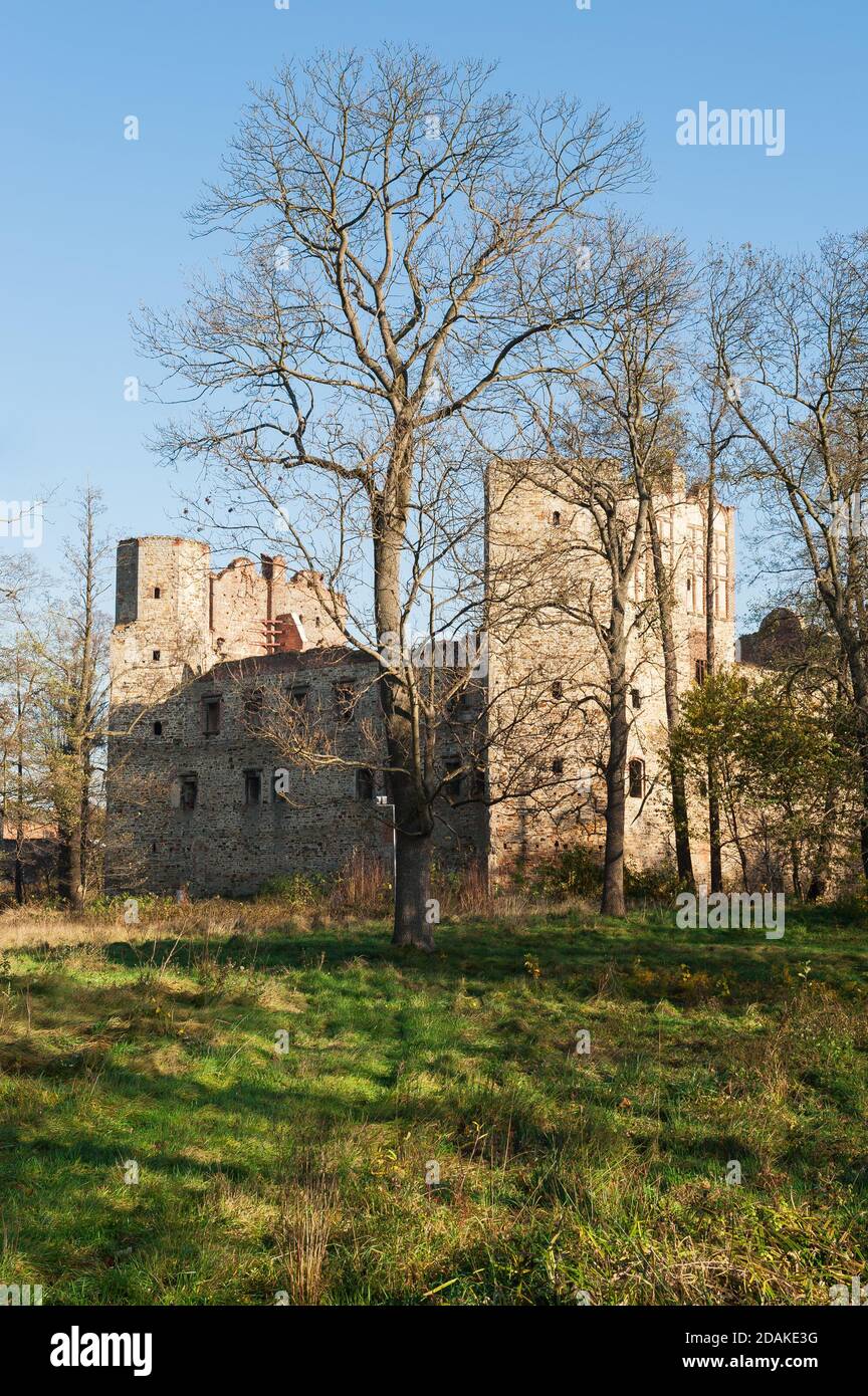 Burg Drzewica, Kreis Opoczno, Woiwodschaft Łódź, in Mittelpolen Stockfoto