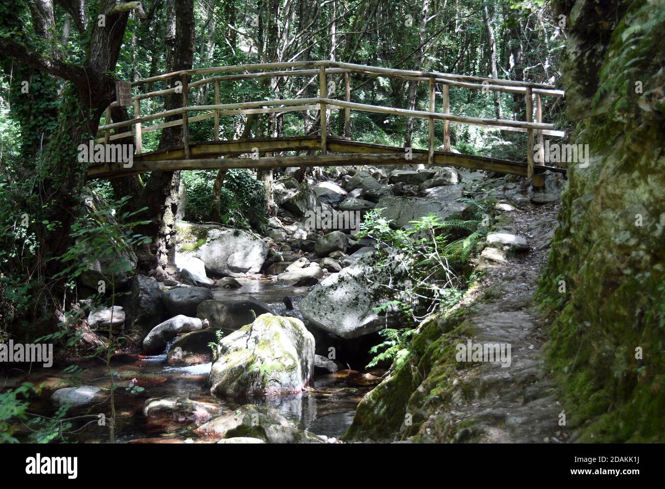 Bivongi RC - Fiumara Stilaro , vallone Folea Kredit : Giuseppe Andidero Stockfoto