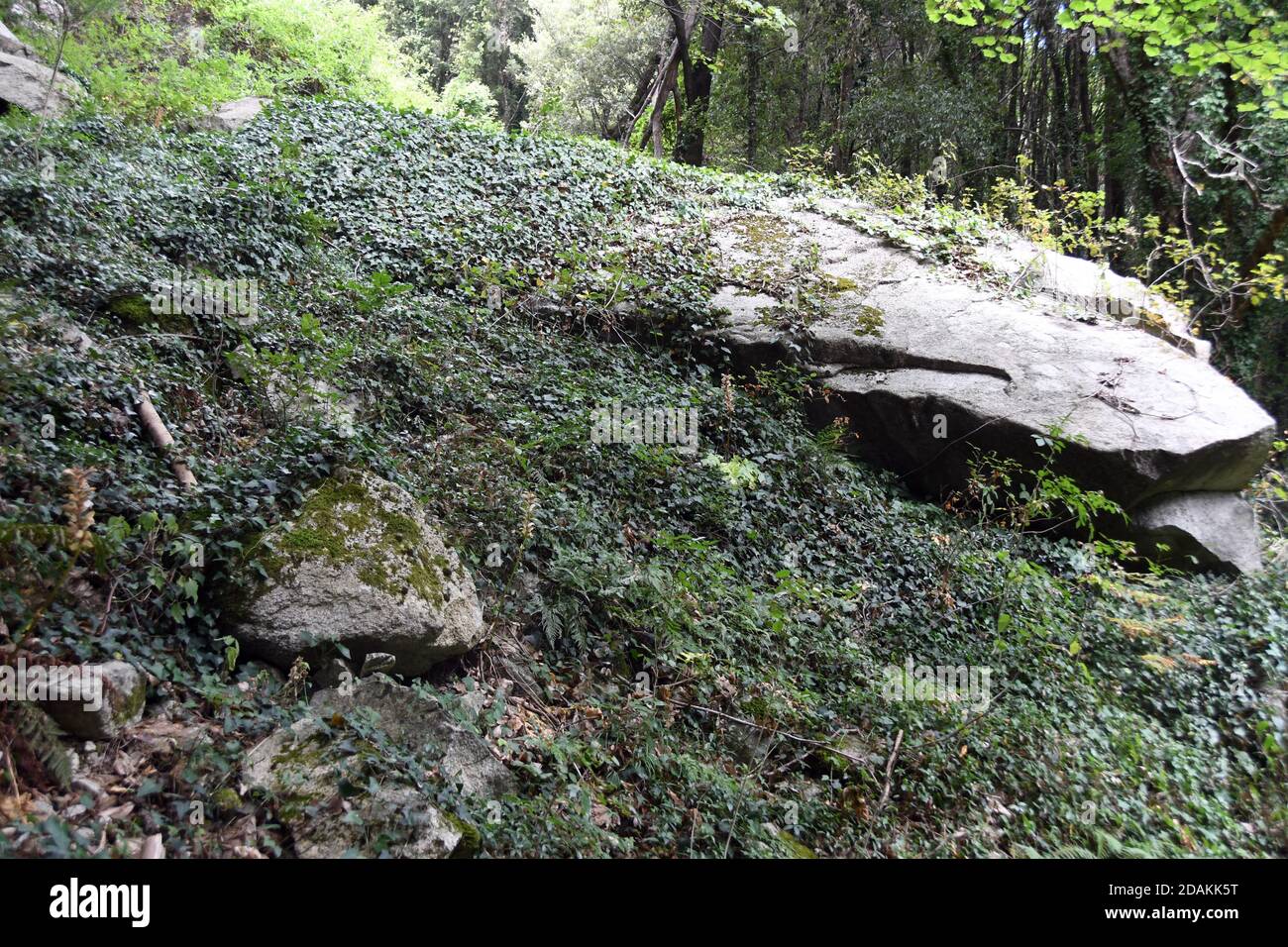 Bivongi RC - Fiumara Stilaro , vallone Folea Kredit : Giuseppe Andidero Stockfoto