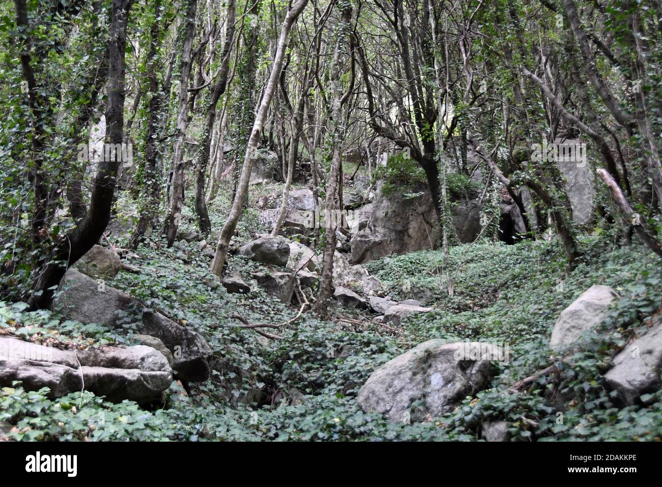 Bivongi RC - Fiumara Stilaro , vallone Folea Kredit : Giuseppe Andidero Stockfoto