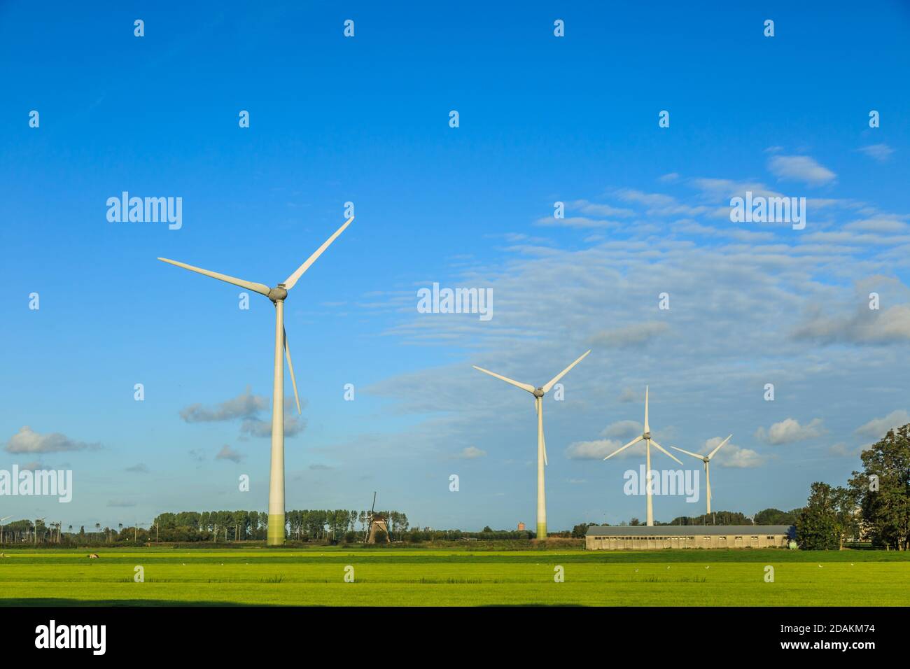 Niederländische Polderlandschaft mit modernen Windturbinen für die nachhaltige Produktion Von Strom für die klimaneutrale Produktion von Heineken Beer Stockfoto