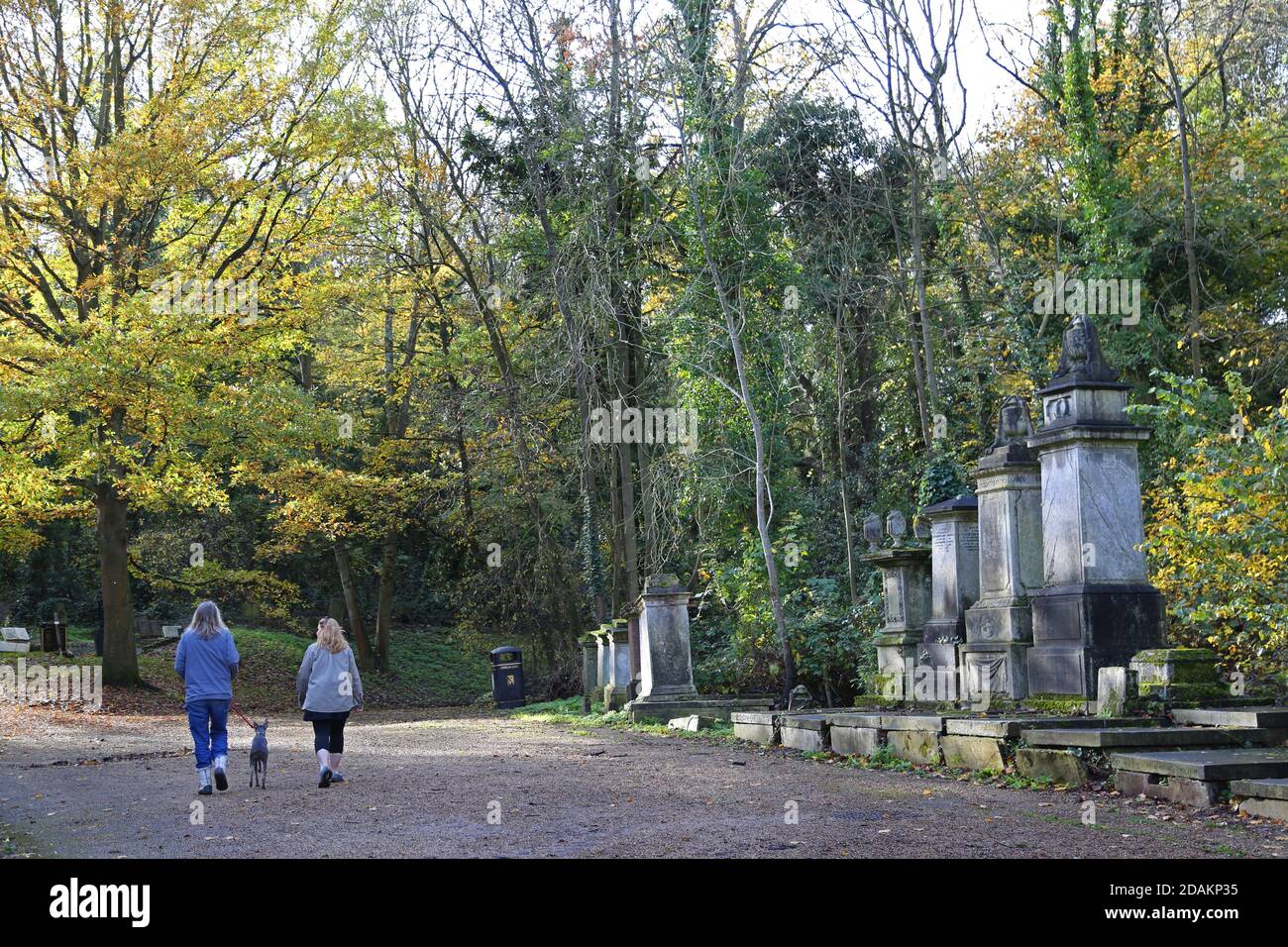 Ein Paar geht mit seinem Hund in Nunhead Cemetery, South London, Großbritannien. Ein beeindruckender viktorianischer Friedhof, der jetzt wild und überwuchert ist, aber bei Einheimischen beliebt ist. Stockfoto