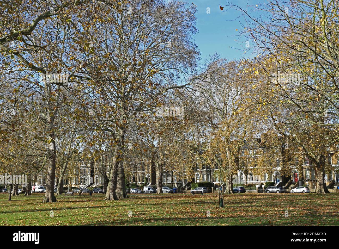 Goose Green, ein von Bäumen gesäumter Stadtpark in East Dulwich, London, Großbritannien. Sonniger Herbsttag. Stockfoto