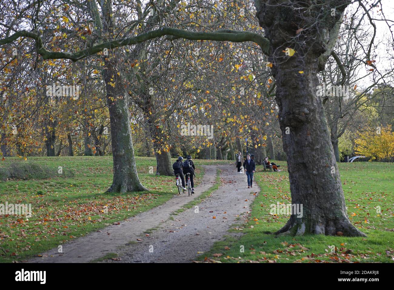 Wanderer, Radfahrer und Hundewanderer nutzen einen Fußweg durch Peckham Rye Common, South East London, Großbritannien. Sonniger Herbsttag. Stockfoto