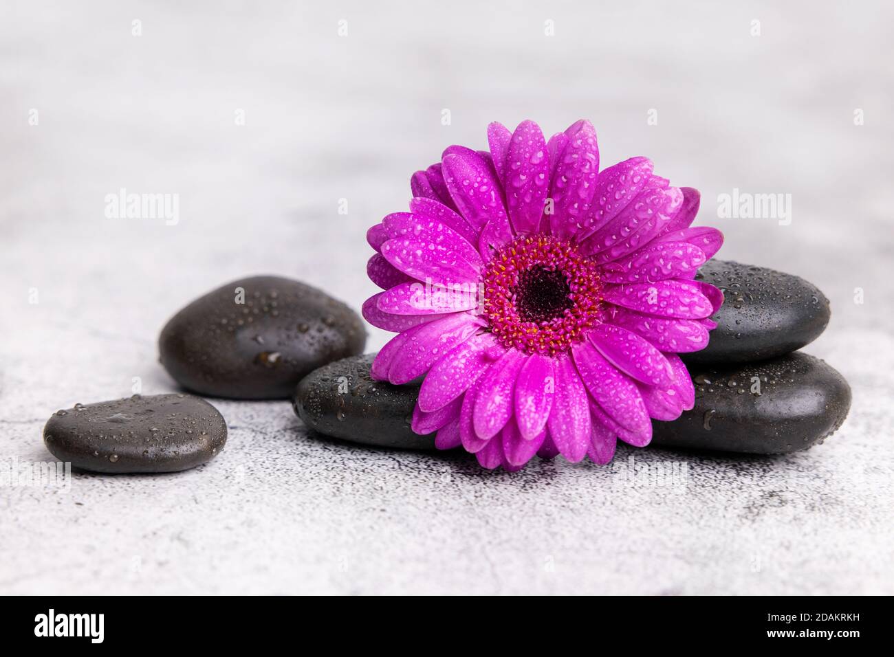 Schwarze Steine und violette Blume auf Marmor Hintergrund. Spa und Wellness Beauty-Behandlung Konzept Stockfoto