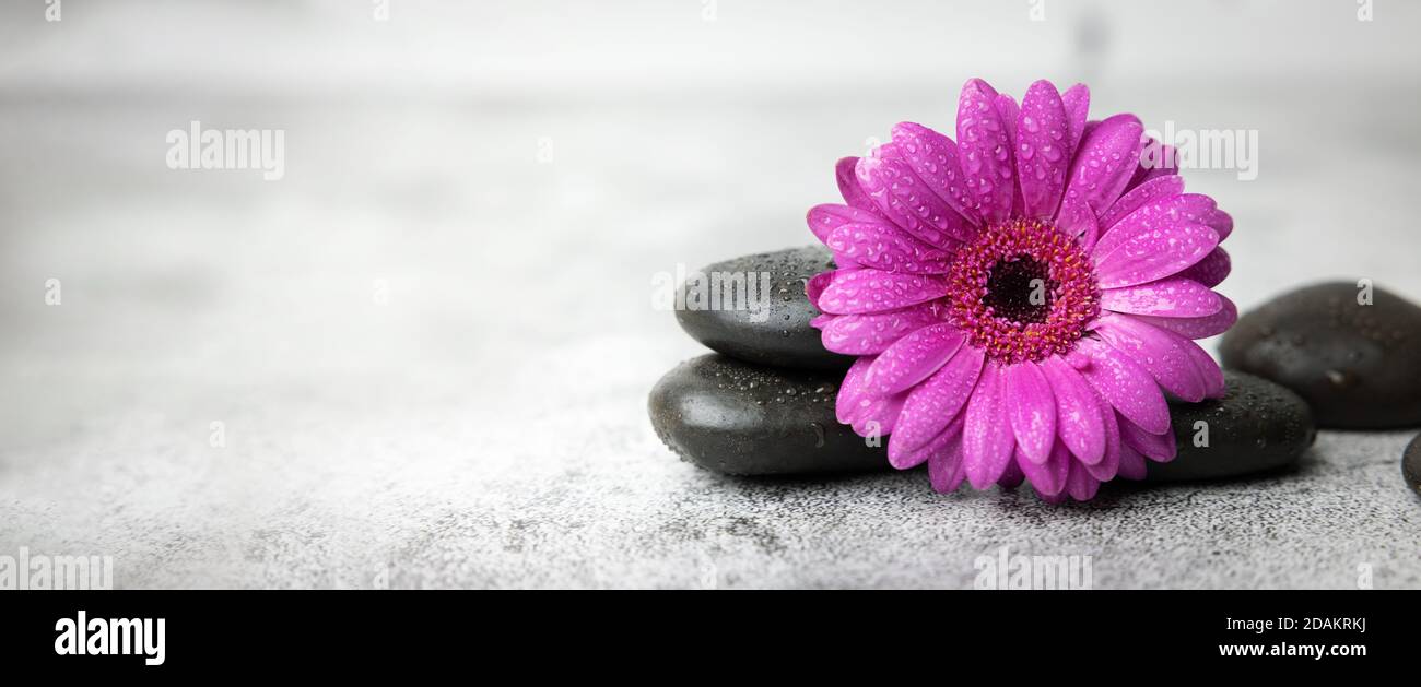 Schwarze Steine und lila Blume auf weißem Marmor Hintergrund. Beauty-Behandlung-Konzept. Banner Copy space Stockfoto
