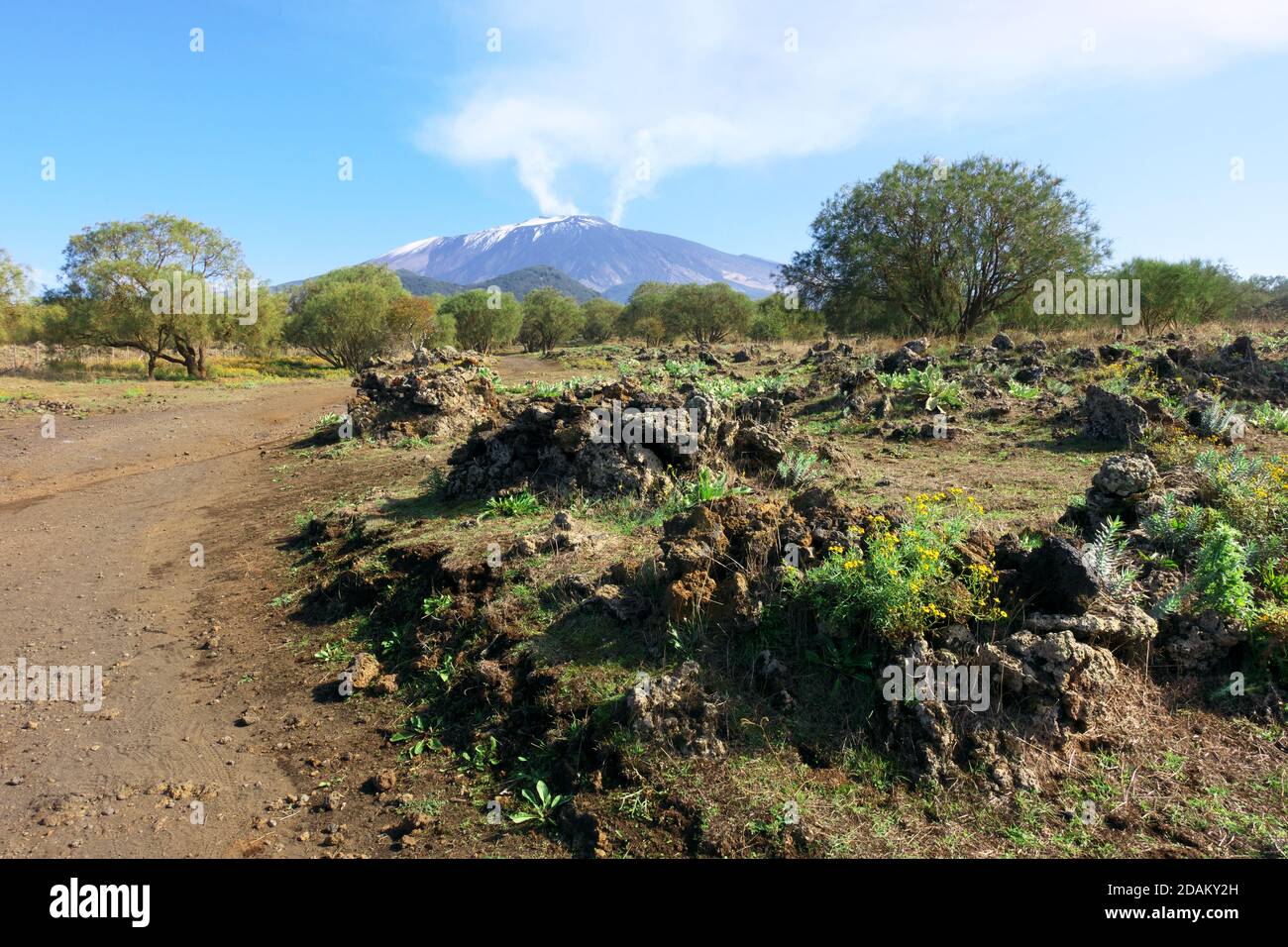 Typische Vulkanlandschaft rund um den Vulkan Ätna ein Wahrzeichen der Natur In Sizilien und Outdoor-Tourismus Stockfoto