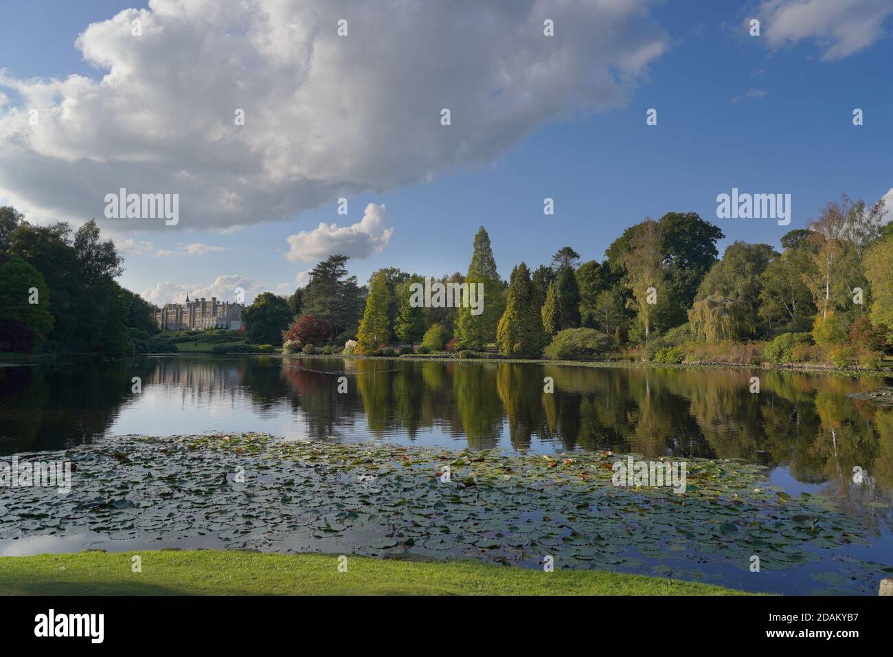 Bäume spiegeln sich im Wasser, schöne sonnige Herbstlandschaft Stockfoto