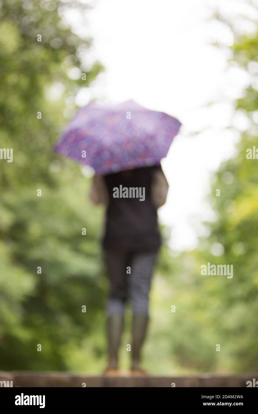 Rückansicht einer verschwommenen, unscharfen Frau in Gummibeinen, die draußen auf dem Land in Großbritannien mit Regenschirm isoliert sind. Stockfoto