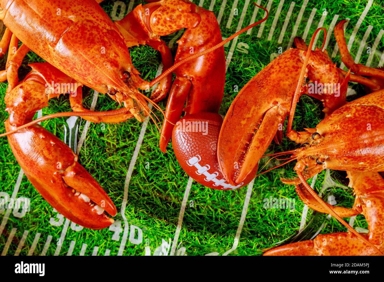 Gekochter großer Hummer mit Kugel auf Tablett Stockfoto